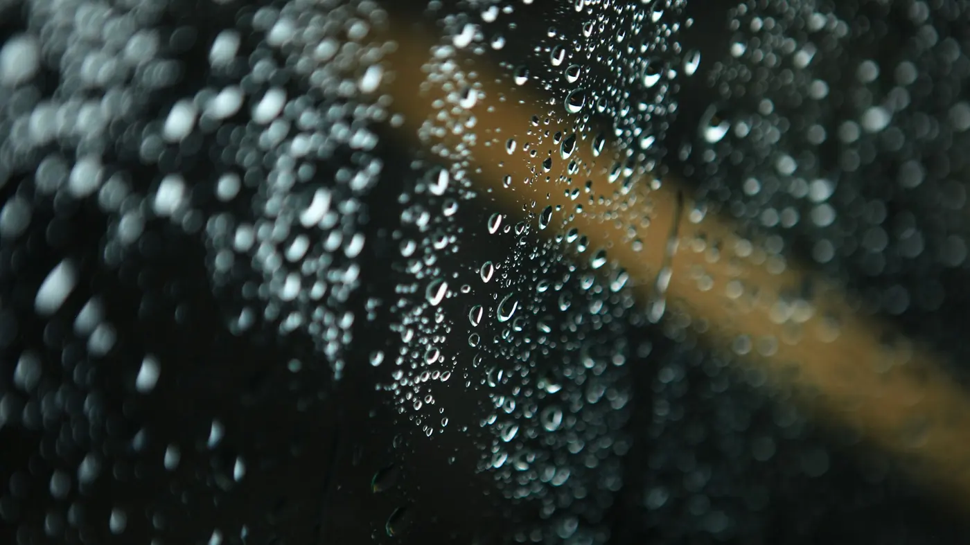 Dark nights, wet roads: staying safe on the road this winter